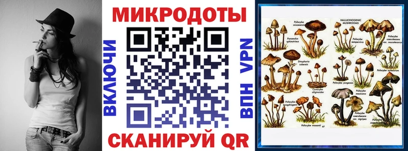 Псилоцибиновые грибы Cubensis  что такое   Черепаново 